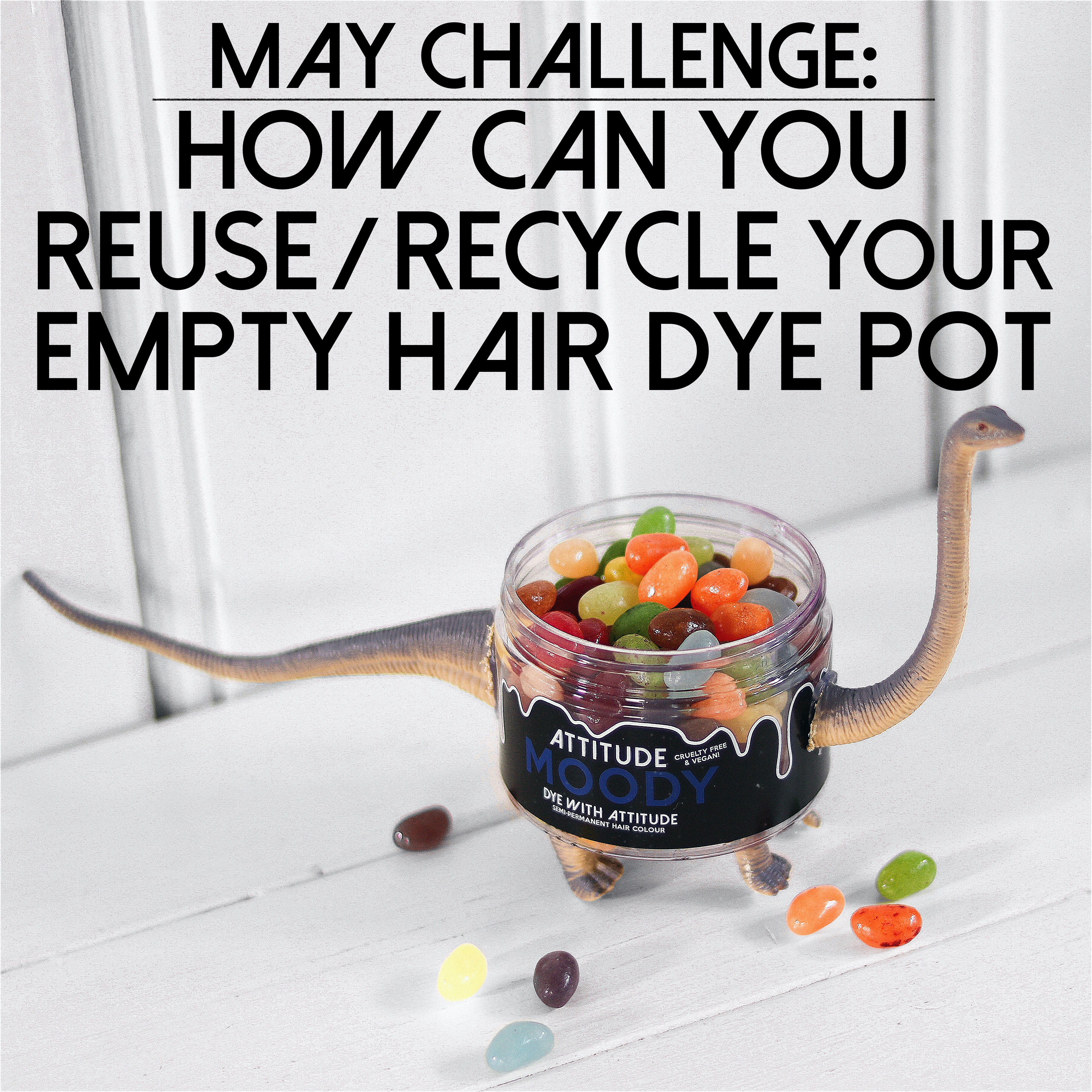 Face Of Attitude: May Challenge